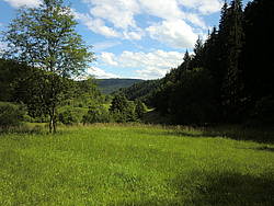Casa de vacaciones Das Schwarzwald Ferienhaus Portal, Alemania, Baden-Wurttemberg, Selva Negra Norte, Alpirsbach