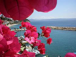 Apartamento de vacaciones Apartments *** INES, Croacia, Dalmacia, Riviera de Makarska, Podgora