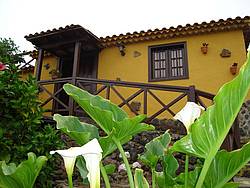 Casa de vacaciones Casa Rural Teneriffa-Nord 12048, España, Tenerife, Tenerife - Norte, Icod de los Vinos
