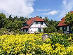 Apartamento de vacaciones Meeresurlaub-Ruegen: Fewo Inselschwalbe (D42), Alemania, Mecklemburgo-Pomerania Occidental, Rügen-Mar Baltico, Dranske