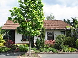 Casa de vacaciones ****Ferienhaus &quot;Oase&quot;****, Alemania, Hesse, Zonas montañosas de Hesse, Bad Zwesten