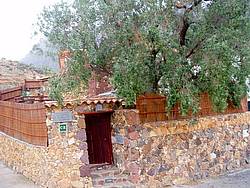 Casa de vacaciones Casa Rural Gran Canaria 11927, España, Gran Canaria, Tejeda, Tejeda