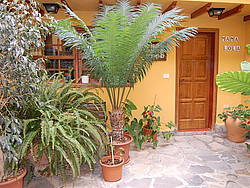 Casa de vacaciones Casa Rural Teneriffa-Süd 11613, España, Tenerife, Tenerife - Sur, Arico